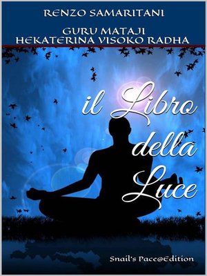 cover image of il Libro della Luce
